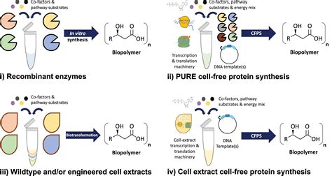 Frontiers Biological Materials The Next Frontier For Cell Free