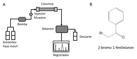 6 Cromatografía Líquida De Alta Performance Hplc A Esquema Del