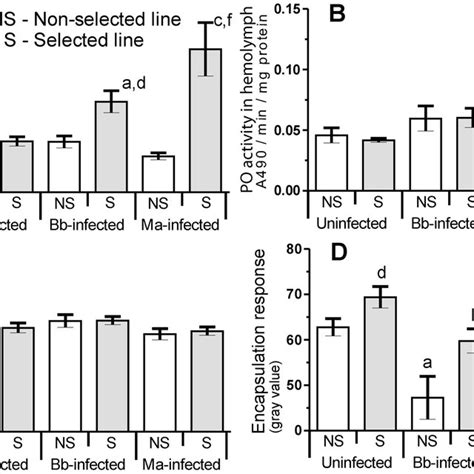 Immune Function Of Insects Selected By B Bassiana Under Infections Download Scientific