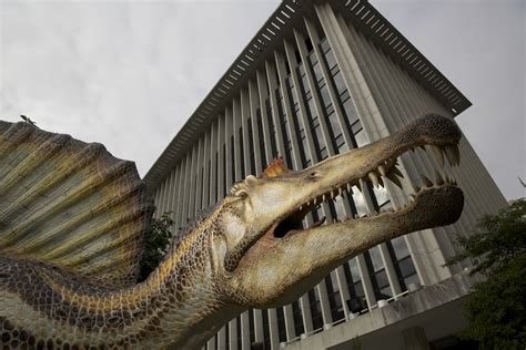 meet spinosaurus wtop news