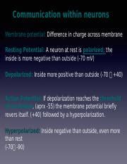 Exam Review Pptx Communication Within Neurons Membrane Potential