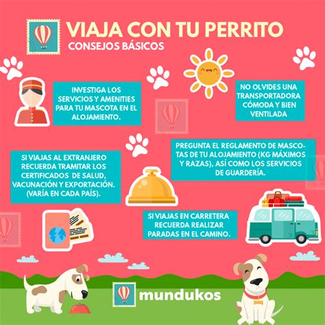 C Mo Viajar Con Un Perro Consejos Que Necesitas Saber Dimension