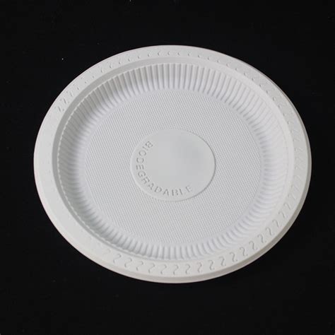 Customzied Logo Printing Disposable 10 Inch Corn Starch Plate