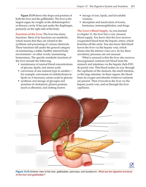 Anatomy Labeling Diagrams 473 Diagram Quizlet