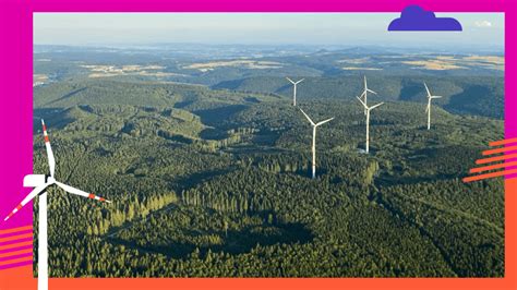 Windkraft Im Wald Klimaschutz Statt Natur Bdew