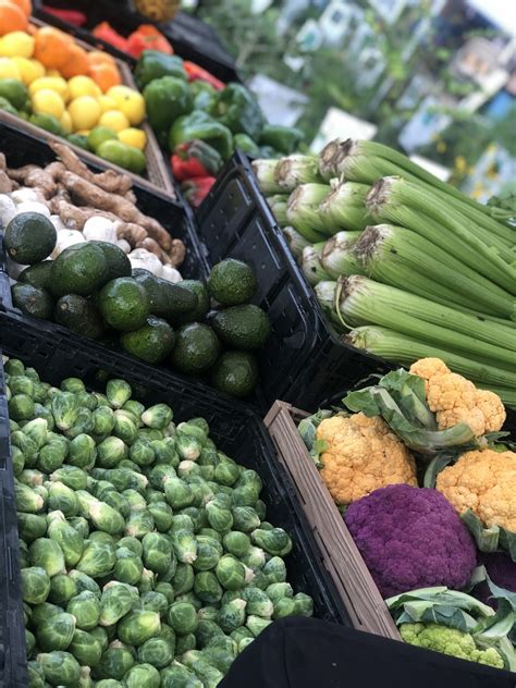 Vero Beach Farmers Market Delivery Service | ~~~ Vero Vine ~~~ Vero