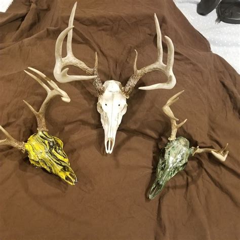 Pa Whitetail My European Mounts Hydro Dipped Steelers Colors And Camo