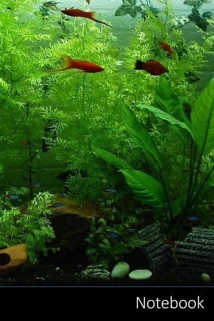 Notebook Aquarium Fische Zierfische Neonfisch Notizbuch