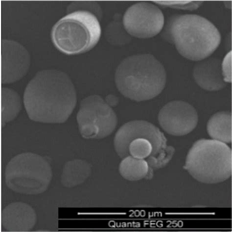 Gelatin Calcium Alginate Core Shell Structure Sustained Release