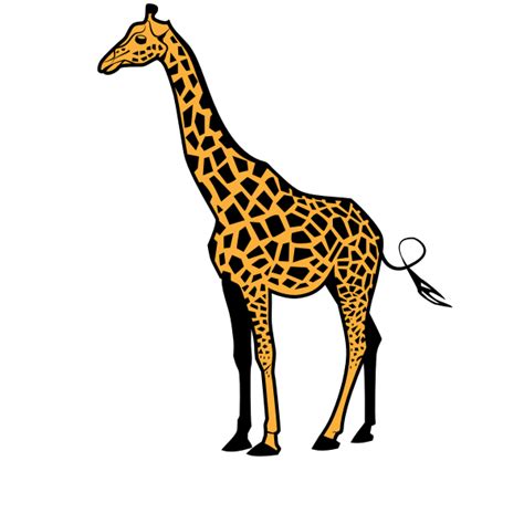 Giraffe Vector Svg