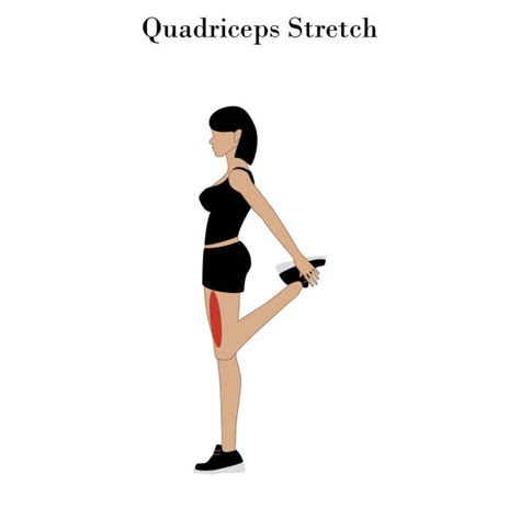 quad icon illustrations royalty  vector graphics clip art