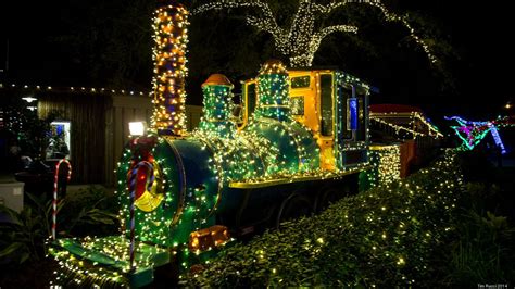 Zoo Lights returns at the Jacksonville Zoo and Gardens this week ...