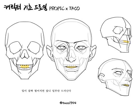 타코작가 On Twitter 해부학 예술 드로잉 강좌 드로잉