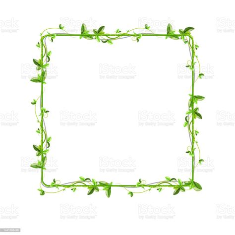 Green Leaf Banner Designgreen Leaf Banner Design Square Banner Design Stock Illustration ...