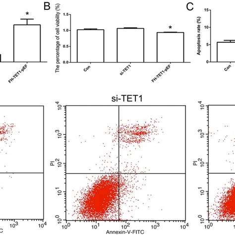 Effect Of Quercetin Treatment On Apoptosis And Cell Cycle Status Of