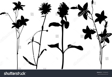 Illustration Wild Flowers Silhouettes Isolated On Stock Vector (Royalty ...