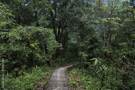 Nature Trail Stock Photo | Adobe Stock