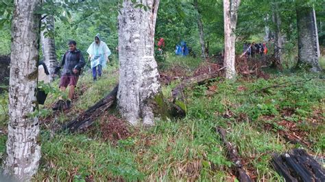 Ani De La Declararea Unor Situri Unesco Din Ucraina S Rb Tori I N