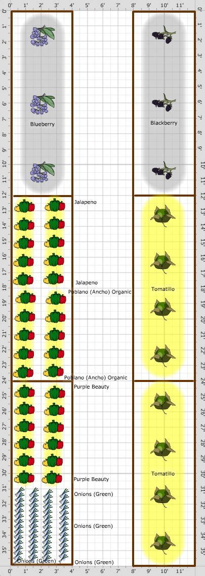 Garden Plan - 2016: Exterior Greenhouse Beds