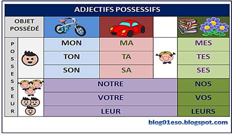 Les Adjectifs Possessifs