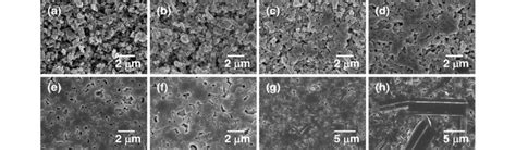 Sem Micrographs Of Bafe 12 O 19 Samples Sintered For 1 H At A 900 Download Scientific