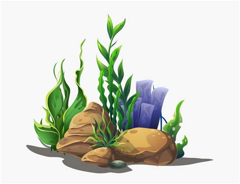 Aquarium Plants Cartoon Png , Free Transparent Clipart - ClipartKey