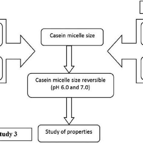 Schematic diagram of changes in casein micelle size at various pHs. The ...