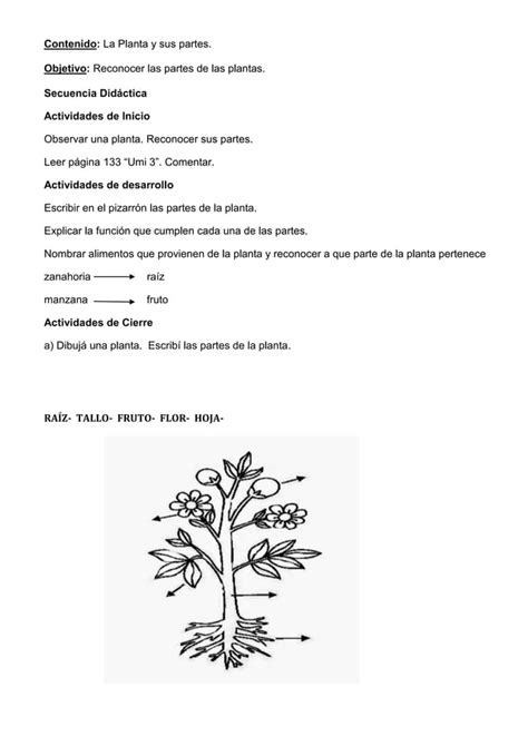 Actividades De Ciencias Naturales Marzo 2022 Docx