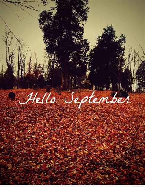 Hello September Pictures Photos And Images For Facebook Tumblr