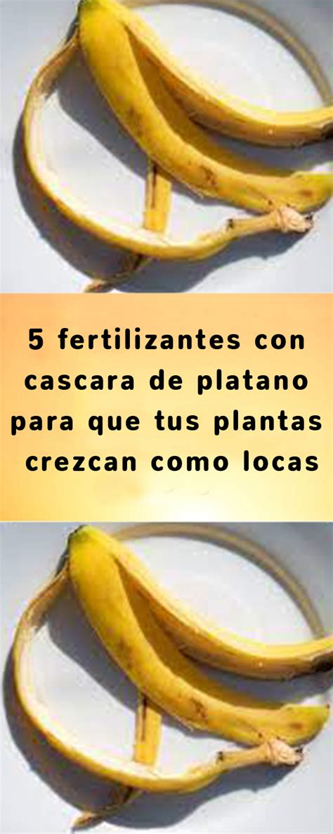 5 Fertilizantes Con Cascara De Platano Para Que Tus Plantas Crezcan Como Locas Plátano