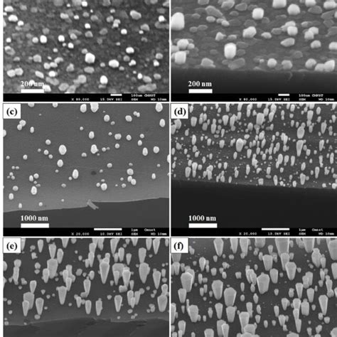 Tilt View Sem Images For The Growth Of Gan Under The Different