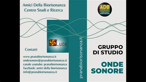 Onde Sonore Gruppo Di Studio Amici Della Biorisonanza Adbi Italia Youtube