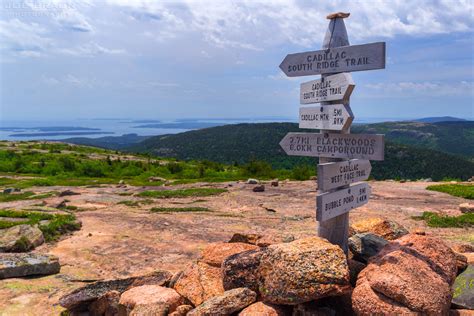 Cadillac South Ridge Trail Joe S Guide To Acadia National Park