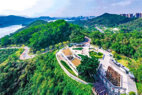 Parks Greenways Eyeshenzhen