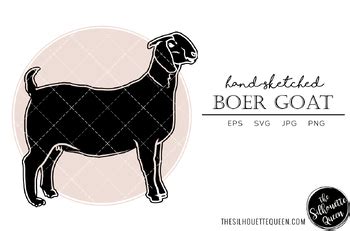 Boer Goat Sketch Vector by The Silhouette Queen | TPT