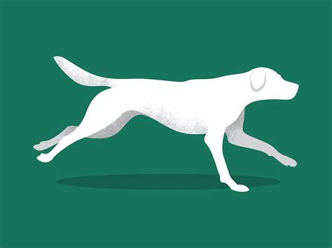 Dog Run By Dan Draper On Dribbble