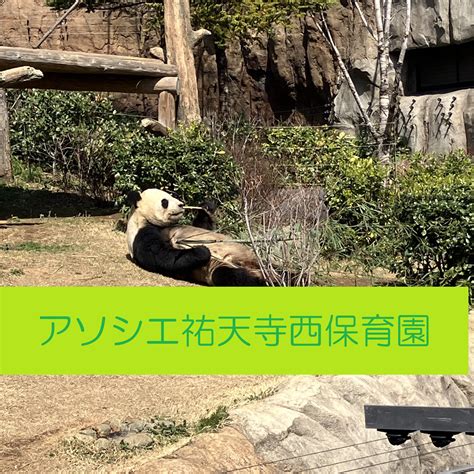 上野動物園に行ってきたよ！ アソシエブログ