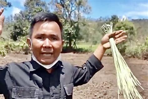 Kemarahan Warganet Usai Kebun Edelweis Rawa Di Ranca Upas Rusak Akibat