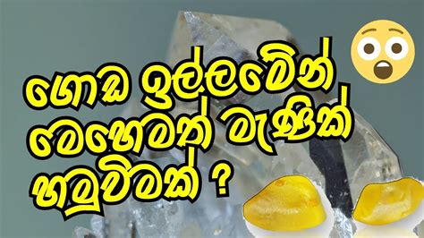 ගඩ ඉලලමන මහමත මණක හමවමක yellow sapphire rough stone sri