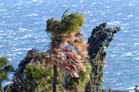 Aviso Amarillo Por Fuertes Vientos Y Oleaje En La Palma