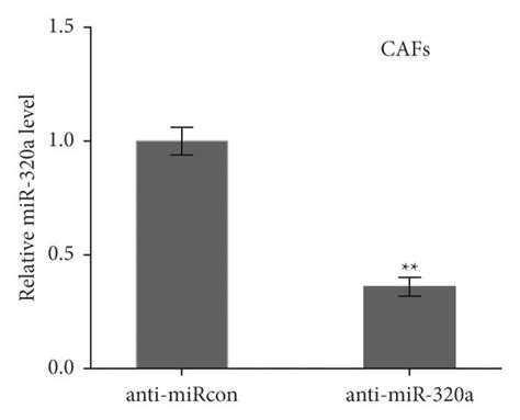 Exo Mirna 320a Facilitated Macrophage M2 Polarization Qpcr Analysis Of