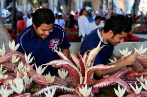 Noche De Rabanos Radish Festival Oaxaca Mexico Night Of The Radishes