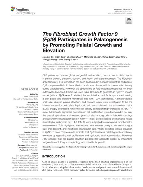 Pdf The Fibroblast Growth Factor Fgf Participates In