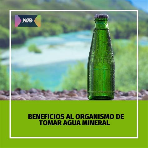 Beneficios Al Organismo De Tomar Agua Mineral