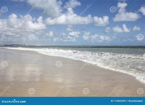 Photo Beach Sea Ceara Brazil Stock Image - Image of palm, sand: 113443295