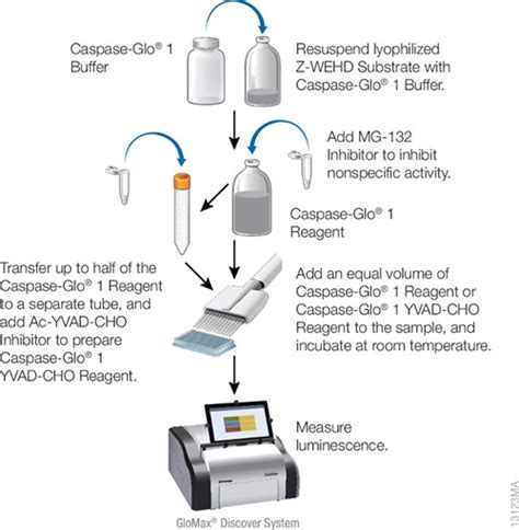 Caspase Glo® 1 Inflammasome Assay