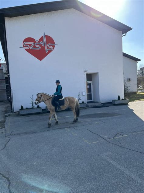 Brez Avtomobila V Olo Srednja Zdravstvena Ola Murska Sobota