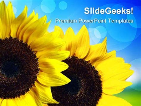 Sunflower Nature Powerpoint Templates And Powerpoint Backgrounds 0211