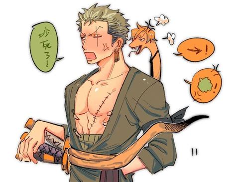 uke zoro tổng hợp fanart en 2024 Cómic one piece Parejas anime