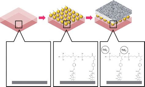 Procedures Of Membrane Surface Modification By Tio 2 Nanoparticles Via Download Scientific